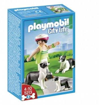 ver 504 - Border Collies con Cachorro